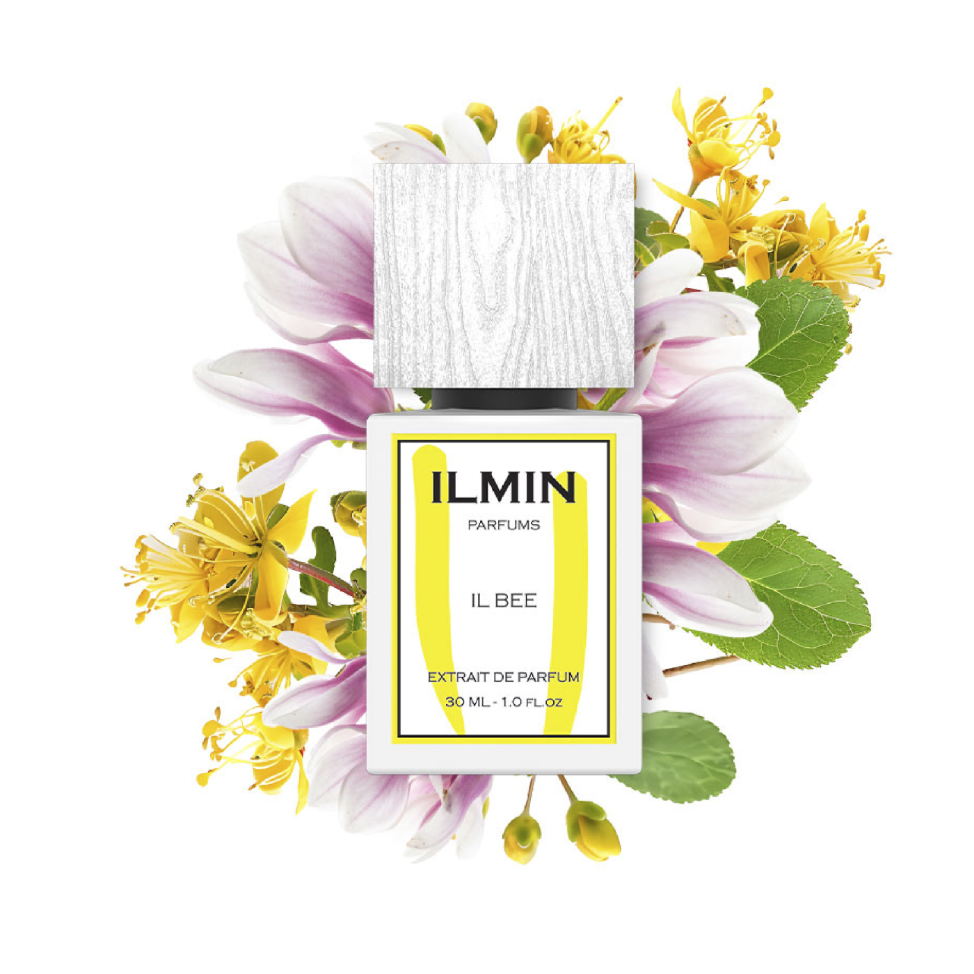 Notas olfativas de IL BEE, ILMIN