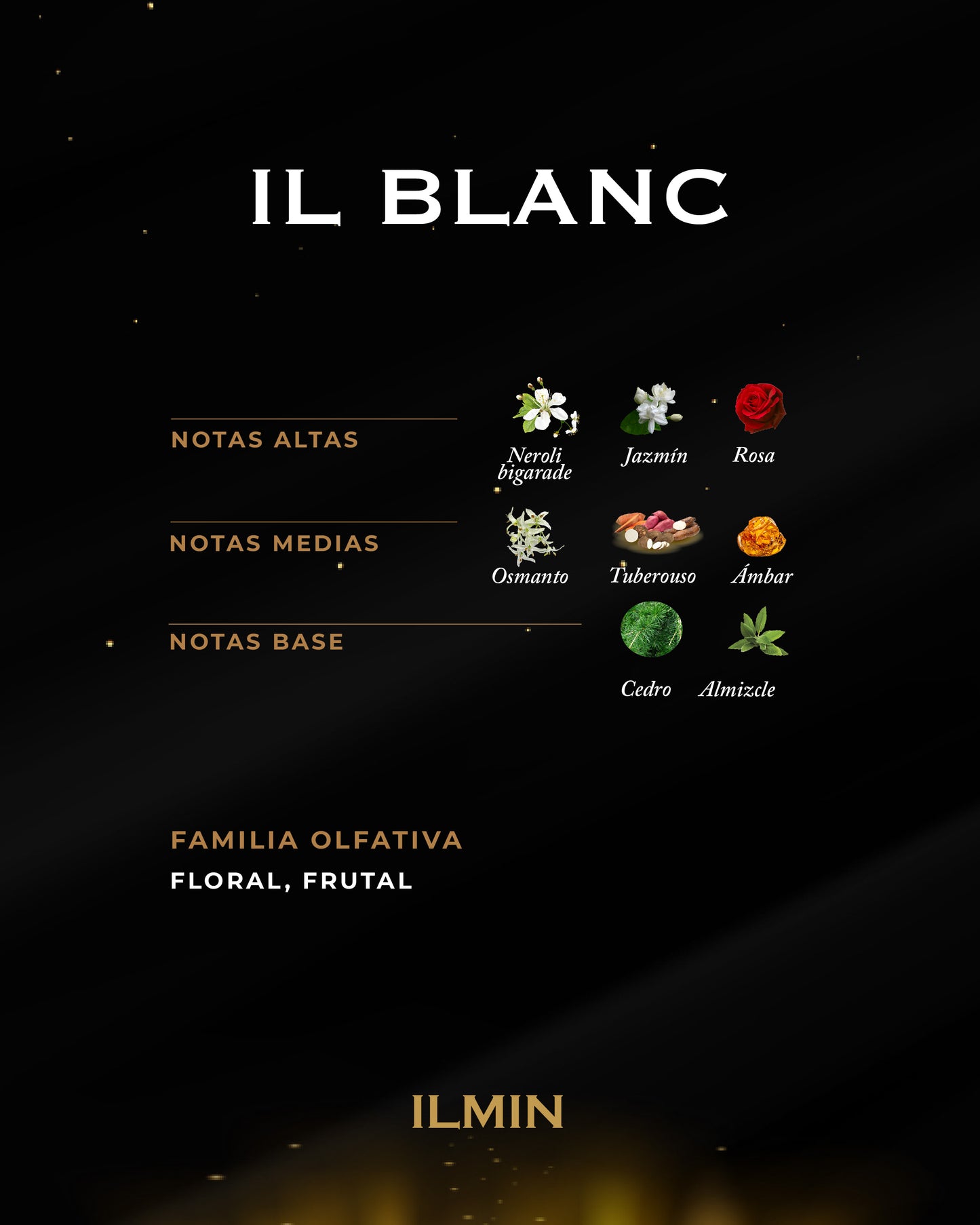Perfume exclusivo ILMIN IL BLANC FAMILIA OLFATIVA